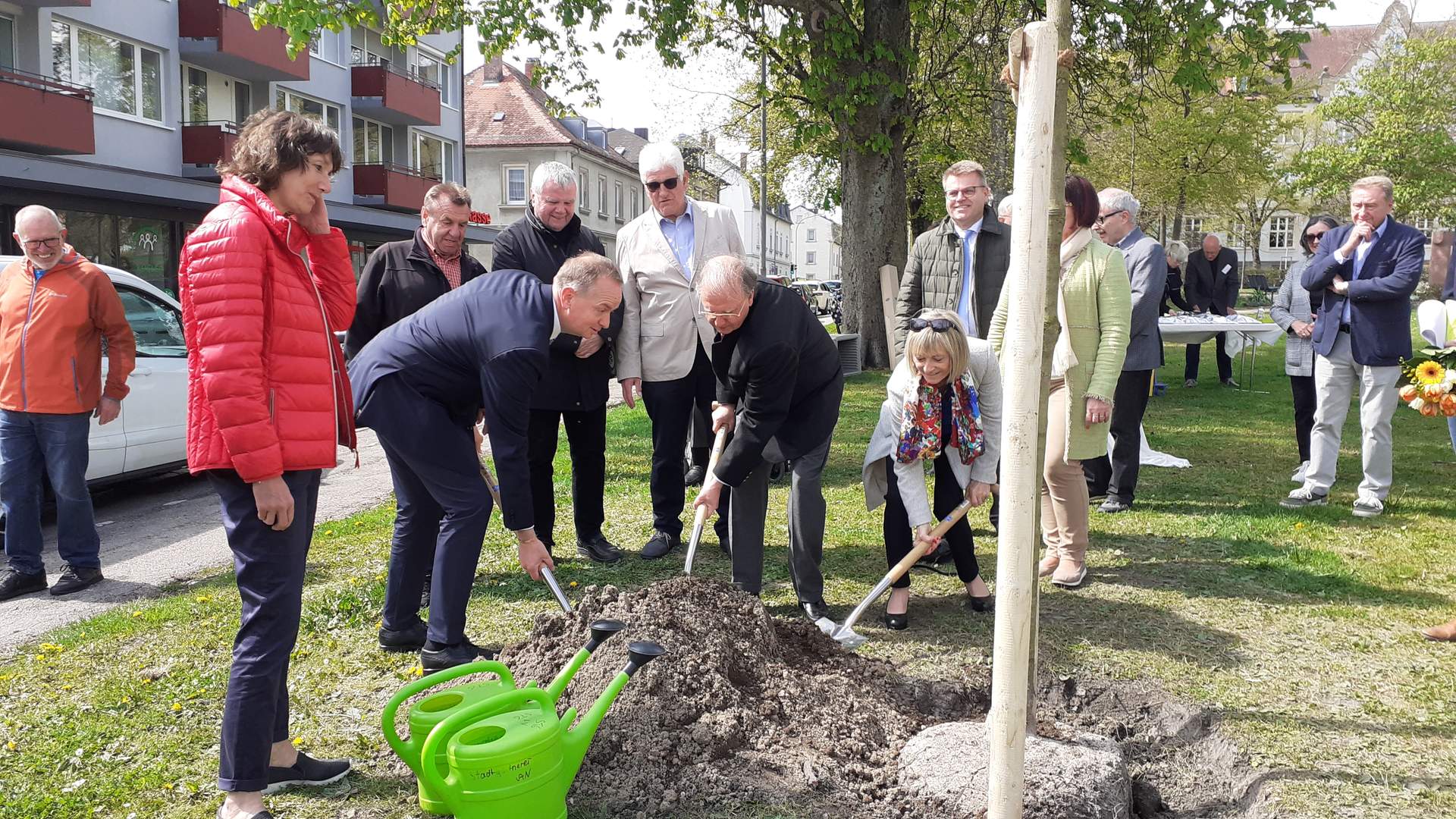 Un arbre pour le Pignada à Ansbach