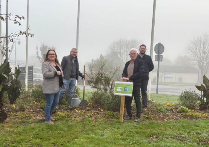 Baum pflanzen Challenge